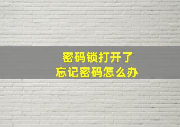 密码锁打开了忘记密码怎么办