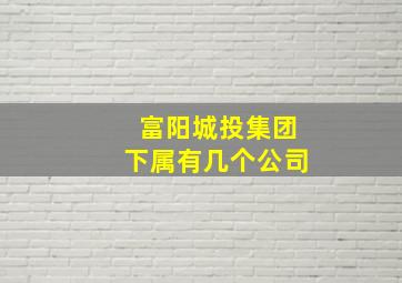 富阳城投集团下属有几个公司