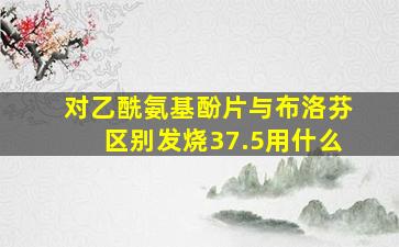 对乙酰氨基酚片与布洛芬区别发烧37.5用什么