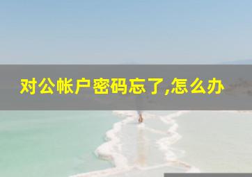 对公帐户密码忘了,怎么办