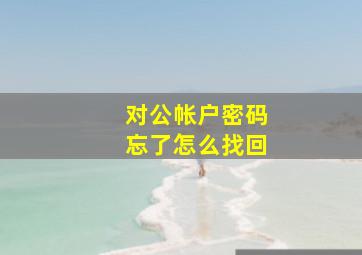 对公帐户密码忘了怎么找回