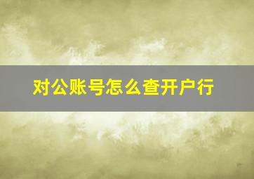 对公账号怎么查开户行