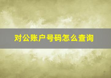 对公账户号码怎么查询