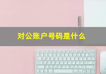 对公账户号码是什么