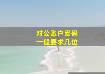 对公账户密码一般要求几位