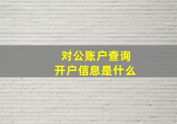 对公账户查询开户信息是什么