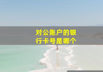 对公账户的银行卡号是哪个