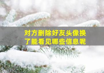 对方删除好友头像换了能看见哪些信息呢