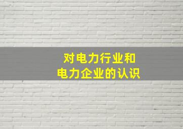 对电力行业和电力企业的认识