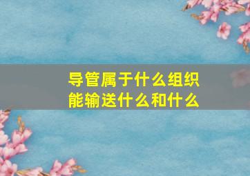 导管属于什么组织能输送什么和什么