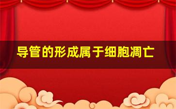 导管的形成属于细胞凋亡