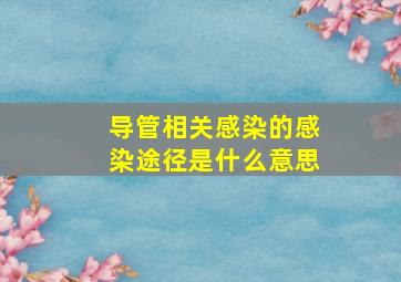 导管相关感染的感染途径是什么意思