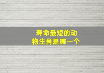 寿命最短的动物生肖是哪一个