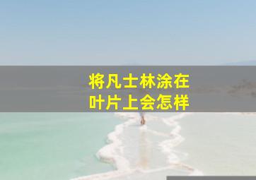 将凡士林涂在叶片上会怎样