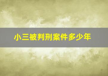 小三被判刑案件多少年