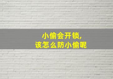 小偷会开锁,该怎么防小偷呢