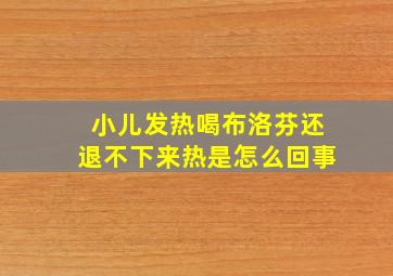 小儿发热喝布洛芬还退不下来热是怎么回事