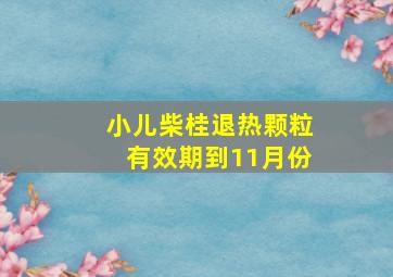 小儿柴桂退热颗粒有效期到11月份