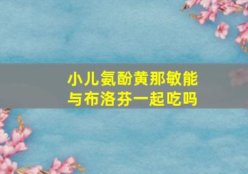 小儿氨酚黄那敏能与布洛芬一起吃吗