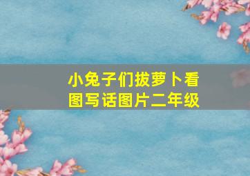 小兔子们拔萝卜看图写话图片二年级