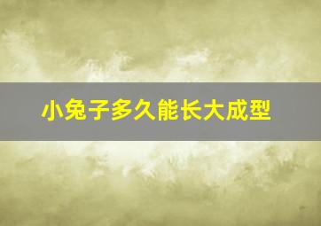 小兔子多久能长大成型