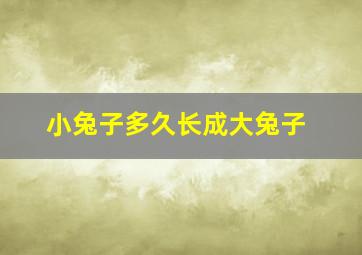 小兔子多久长成大兔子