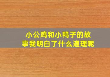 小公鸡和小鸭子的故事我明白了什么道理呢