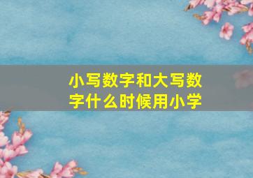 小写数字和大写数字什么时候用小学