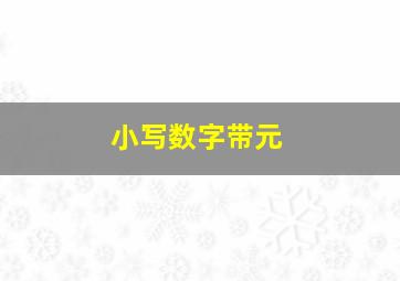 小写数字带元