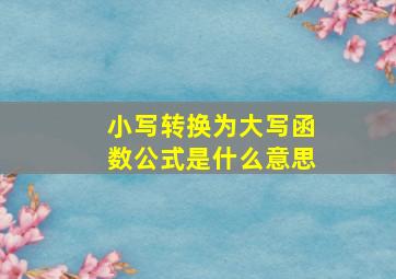 小写转换为大写函数公式是什么意思