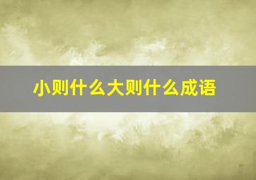 小则什么大则什么成语