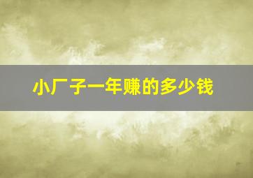 小厂子一年赚的多少钱