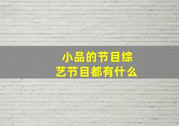 小品的节目综艺节目都有什么