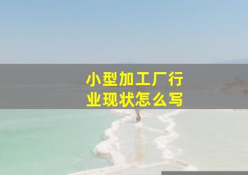 小型加工厂行业现状怎么写