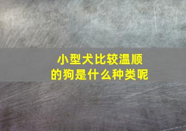 小型犬比较温顺的狗是什么种类呢