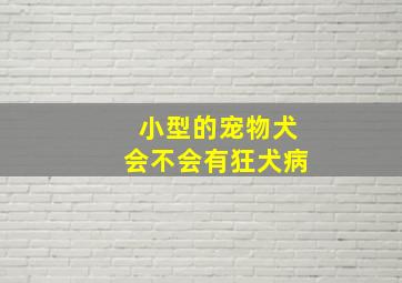 小型的宠物犬会不会有狂犬病