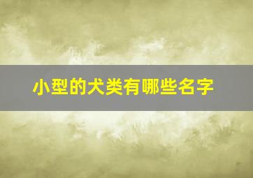 小型的犬类有哪些名字