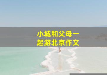 小城和父母一起游北京作文