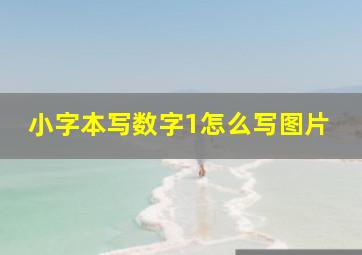 小字本写数字1怎么写图片