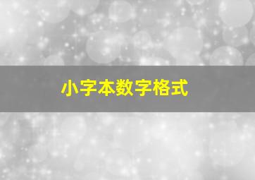 小字本数字格式