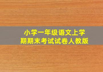 小学一年级语文上学期期末考试试卷人教版