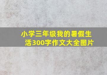 小学三年级我的暑假生活300字作文大全图片