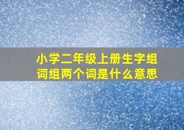 小学二年级上册生字组词组两个词是什么意思