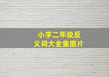 小学二年级反义词大全集图片