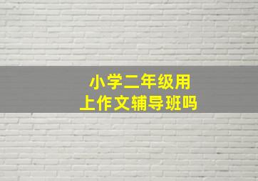 小学二年级用上作文辅导班吗