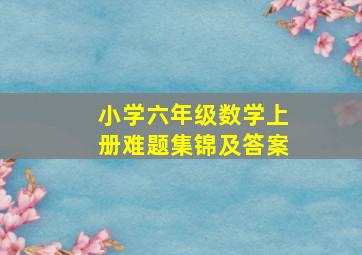 小学六年级数学上册难题集锦及答案