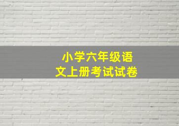 小学六年级语文上册考试试卷