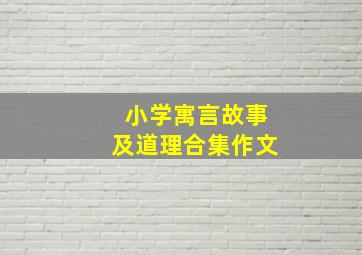 小学寓言故事及道理合集作文