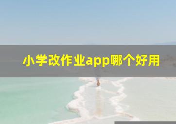 小学改作业app哪个好用