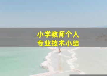 小学教师个人专业技术小结